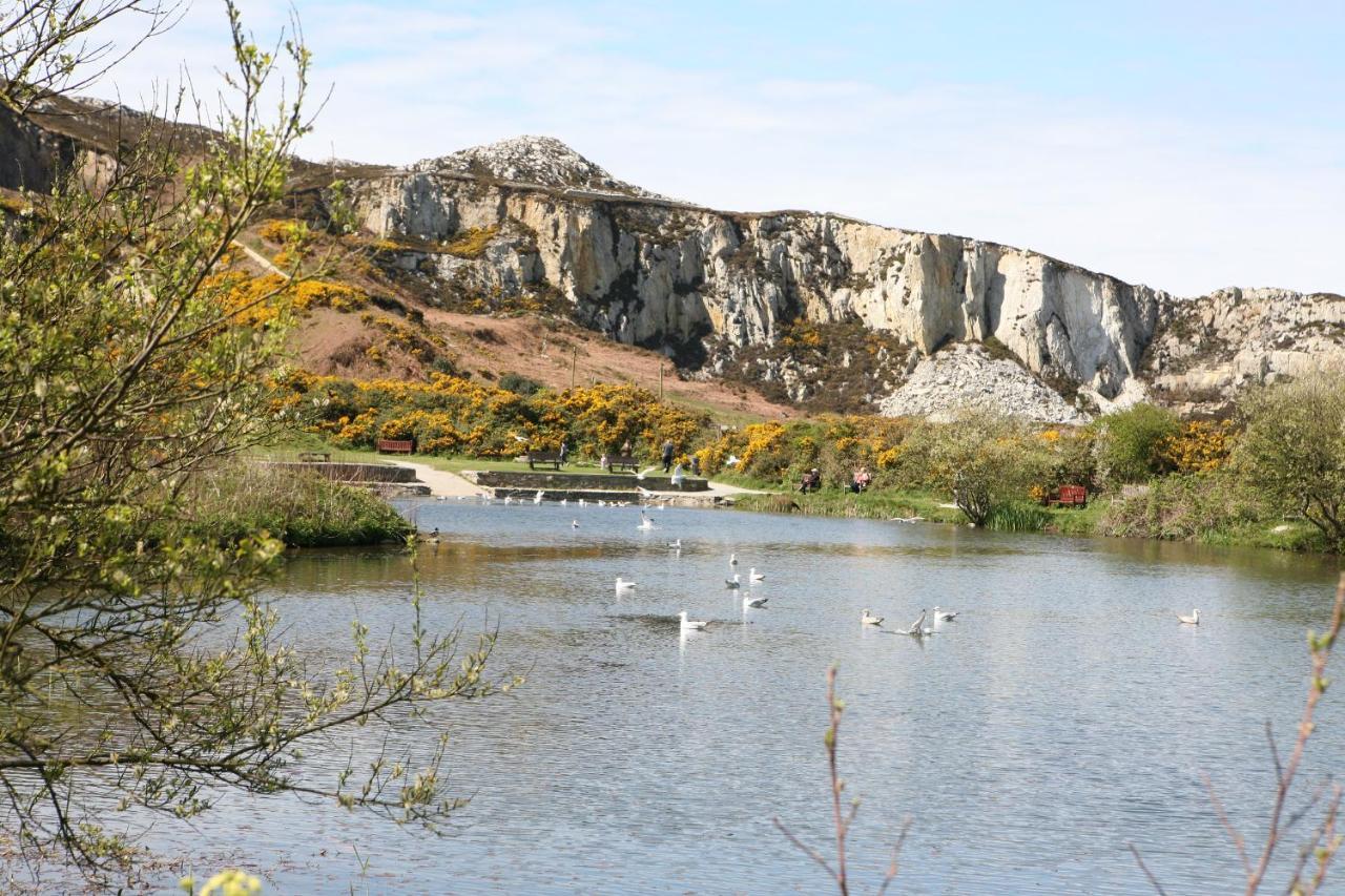 Swn Y Nant Villa Holyhead Kültér fotó
